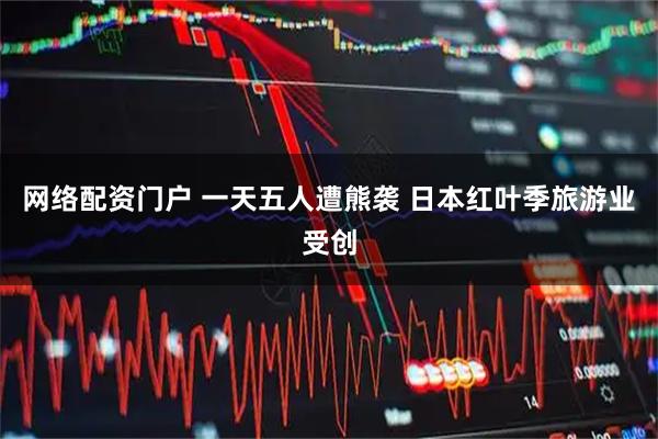 网络配资门户 一天五人遭熊袭 日本红叶季旅游业受创