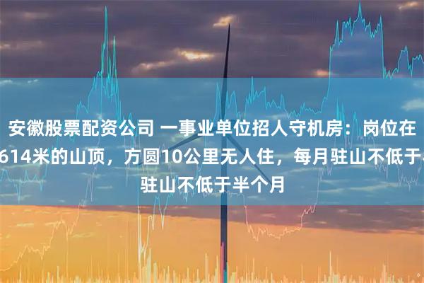 安徽股票配资公司 一事业单位招人守机房：岗位在海拔3614米的山顶，方圆10公里无人住，每月驻山不低于半个月
